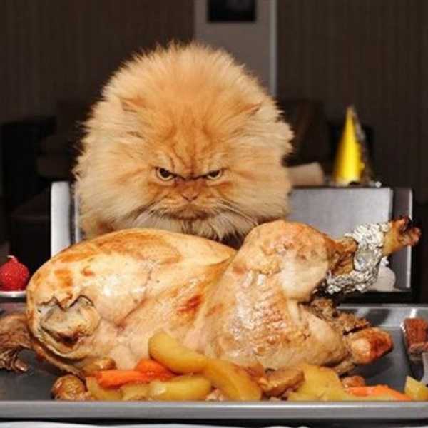 10 Things You Might Love (or Hate) about Thanksgiving