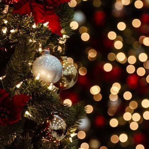 13 Things To Get You In The Holiday Spirit