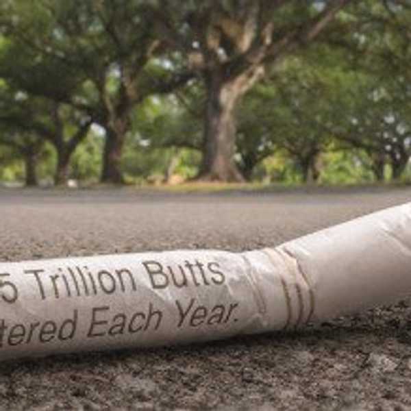 Administration Targets Cigarette Butt Problem With Passive-Aggressive Campaign