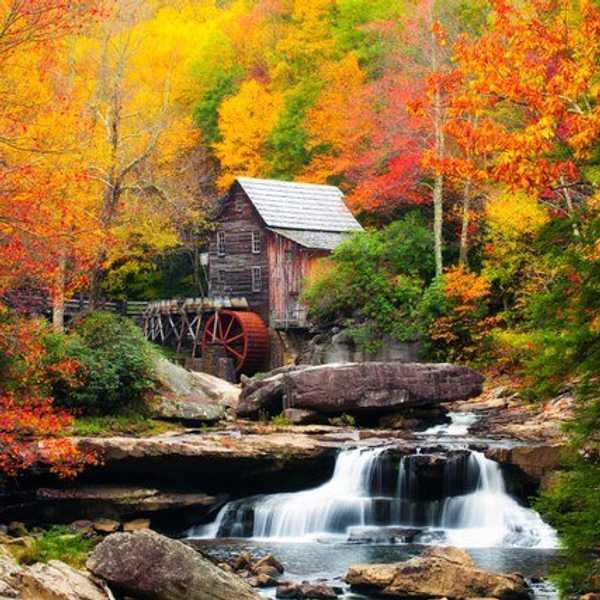 The 10 Best Fall Quotes