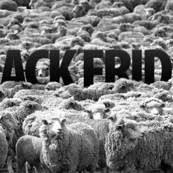 Is Black Friday Worth It Or Not?