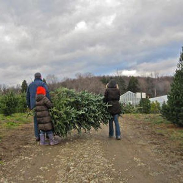 Why Family Traditions Are The Most Important Part Of The Holiday Season