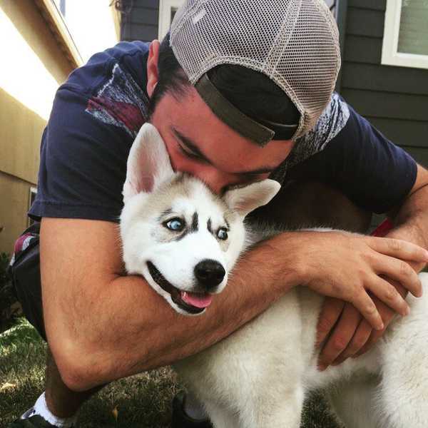The Best 6 Dog Breeds As Puppies