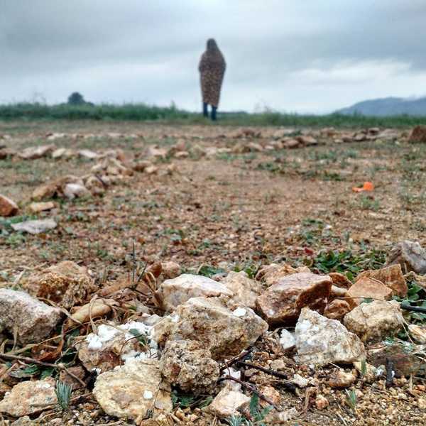 Ten Things Moving Around in My Childhood Taught Me