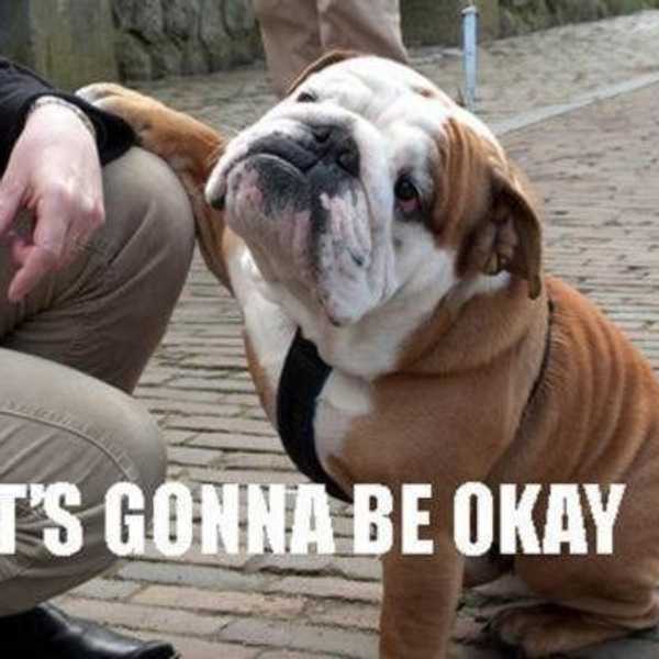 11 Thoughts Every College Student Has For Finals Week