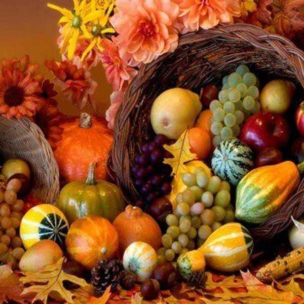 10 Things You Must Do Over Thanksgiving