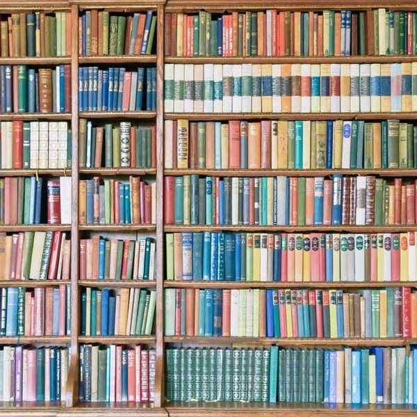 Why Fictional Characters Are Important