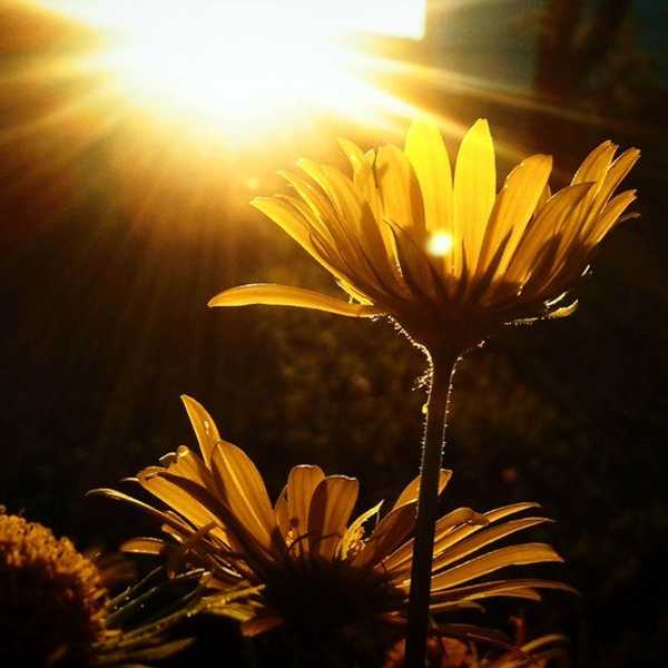 Be The Light