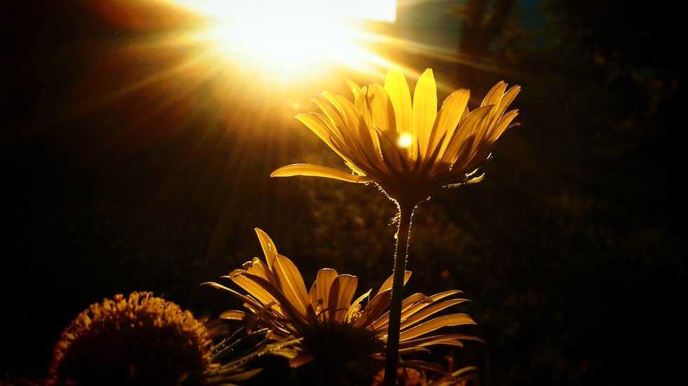 Be The Light