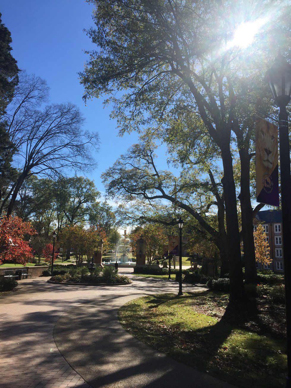 Small University Student From A Big College Town