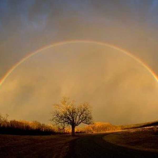 I Pray For Peace