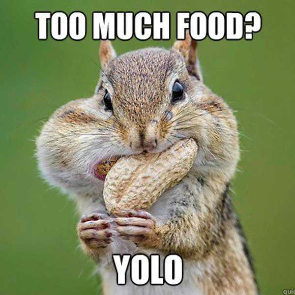 The Unavoidable Truth About Holiday Eating