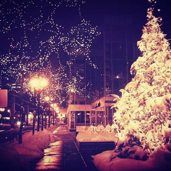 8 Tips For This Holiday Season