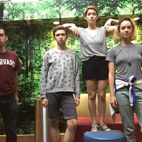 Subtle Pride: Parody or Pure Artistry?
