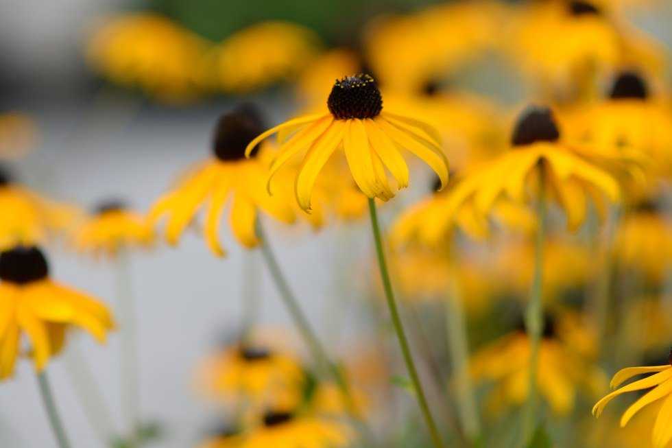 20 Things That Make Your Day Brighter