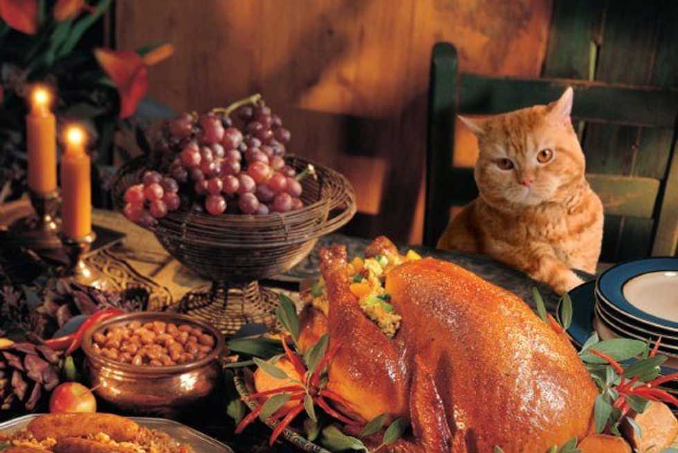 The 7 Stages Of Going Home For Thanksgiving