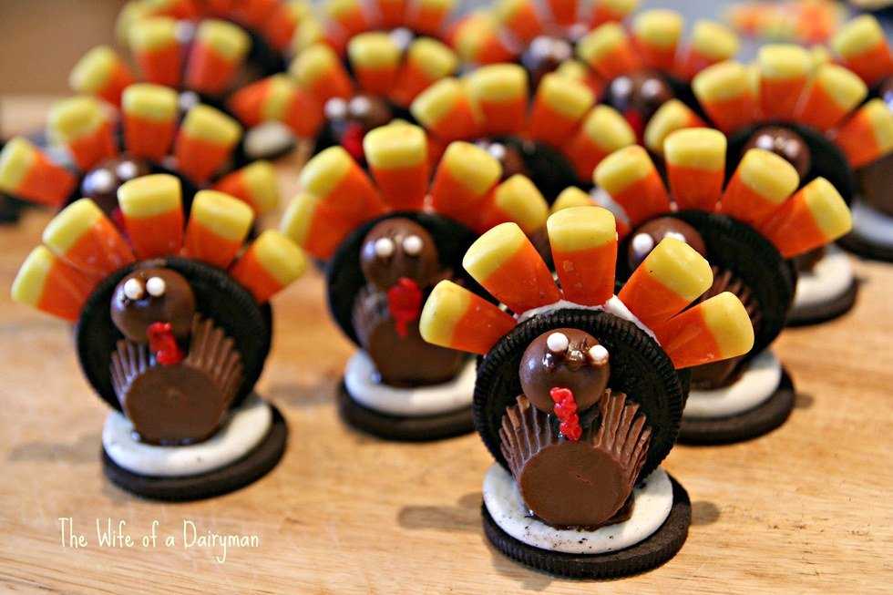 Reasons For A College Student To Be Excited For Thanksgiving