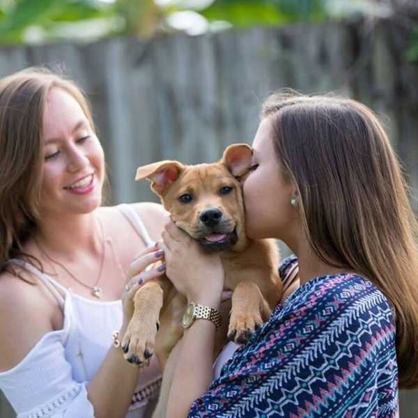 30 Reasons Why Dogs Are Better Than Humans