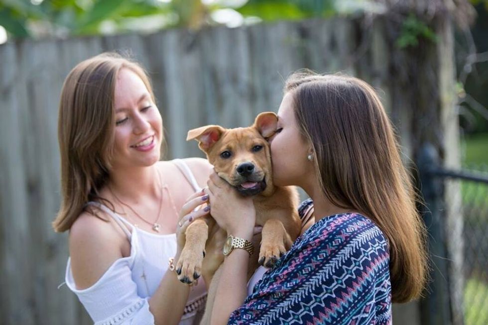 30 Reasons Why Dogs Are Better Than Humans