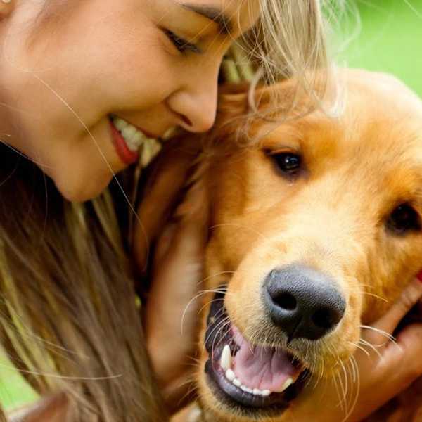 How to Ease Your College Pet Withdrawal