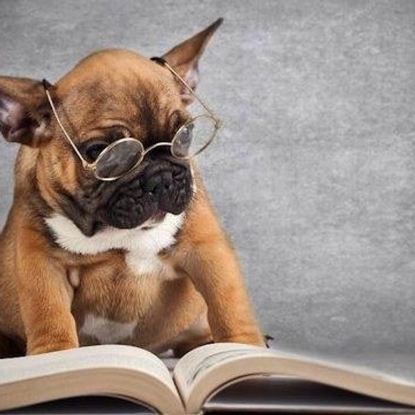 11 Ways To Stress Less As The End Of The Semester Approaches