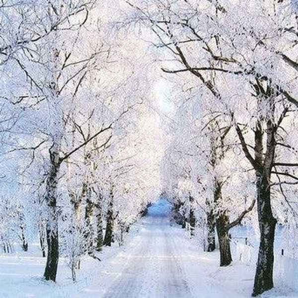 There's No Place Like Minnesota For The Holidays