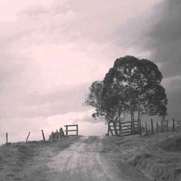 The Calm Before The Storm