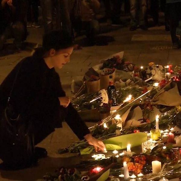 Turning Against Terrorism