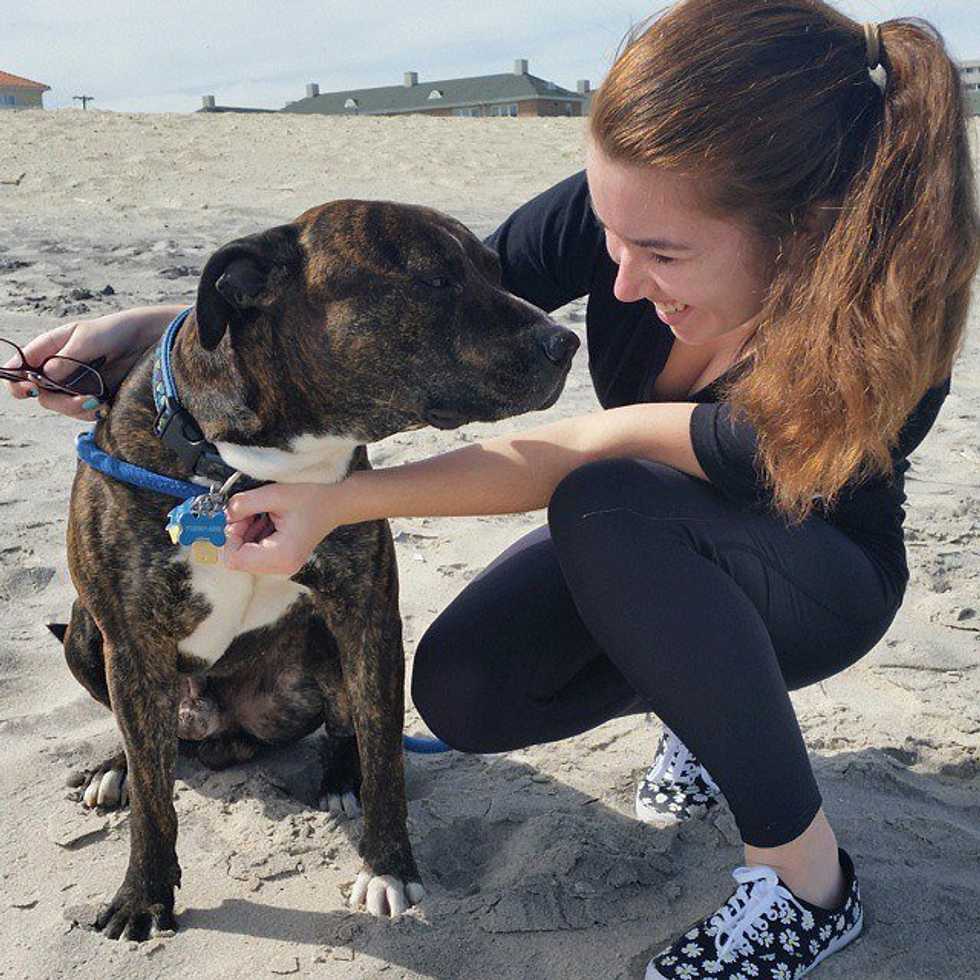 18 Puppies To Brighten Your Day