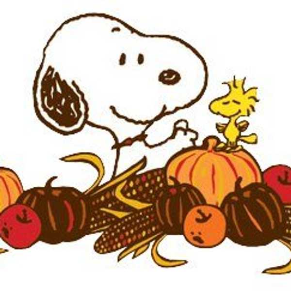 9 Reasons Why Thanksgiving Is Awesome