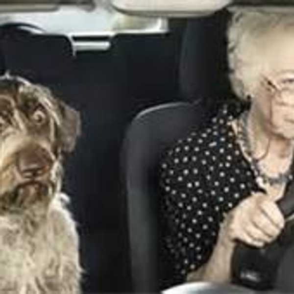 30 Thoughts Every Millennial Driver Has