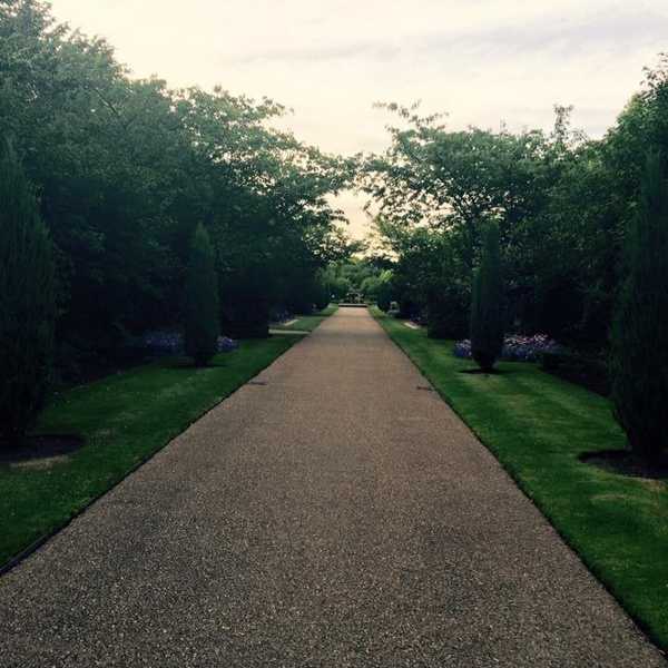 The Road Not Taken