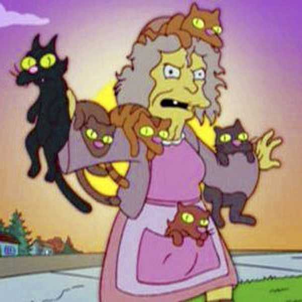 19 Signs You Really Are a Crazy Cat Lady