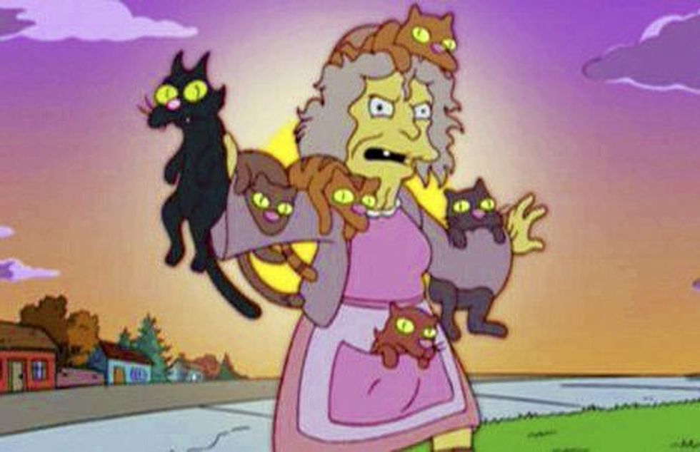 19 Signs You Really Are a Crazy Cat Lady