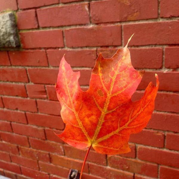 7 Reasons To Love November