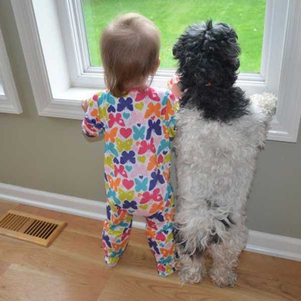 9 Reasons Dogs are Better Friends than People