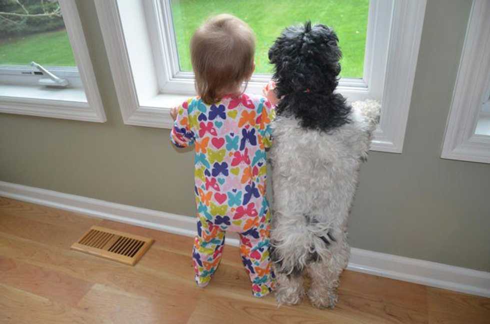 9 Reasons Dogs are Better Friends than People