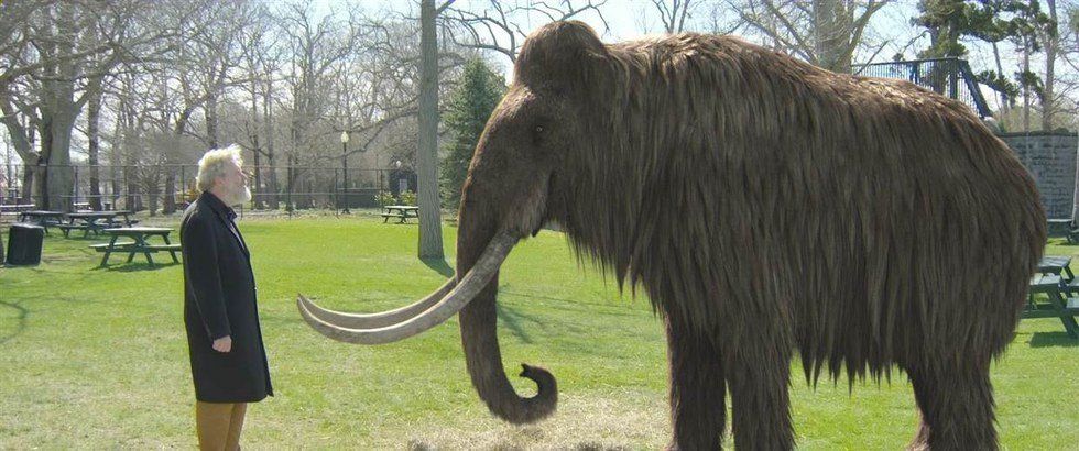 Woolly Mammoth: Back And Better Than Ever