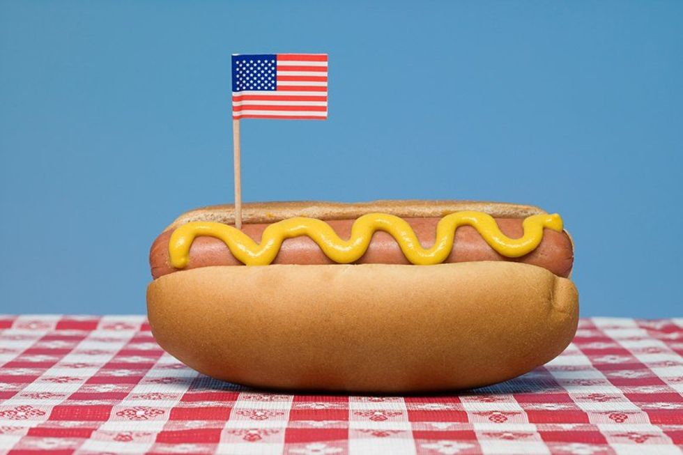 Hot Dog Or Sandwich: A National Crisis Resolved