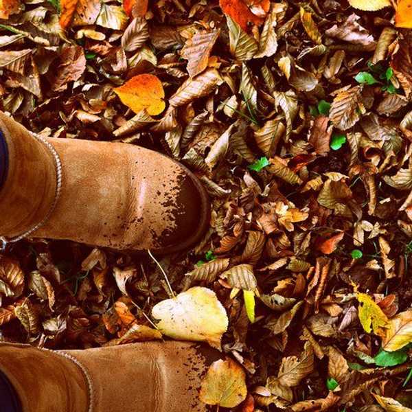 10 Things Every Basic Girl Proudly Loves