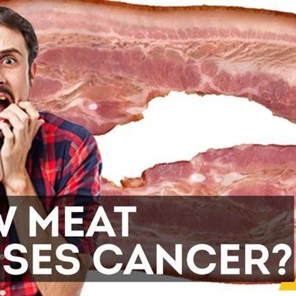 Words On Recent WHO And IARC Findings About Meat Consumption And Cancer