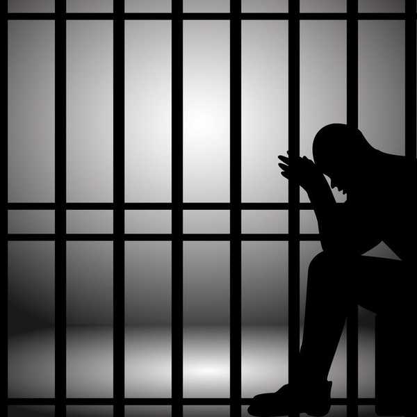The Causes And Consequences Of Incarcerating The Mentally Ill