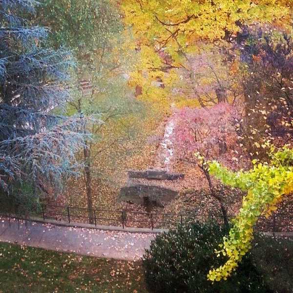 10 Things To Be Thankful For On Thanksgiving