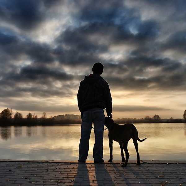 11 Reasons Why Dogs Make The Best Of Friends