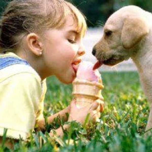 Why Owning A Dog Is Better Than Having A Boyfriend