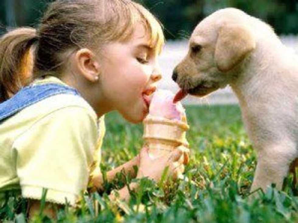 Why Owning A Dog Is Better Than Having A Boyfriend
