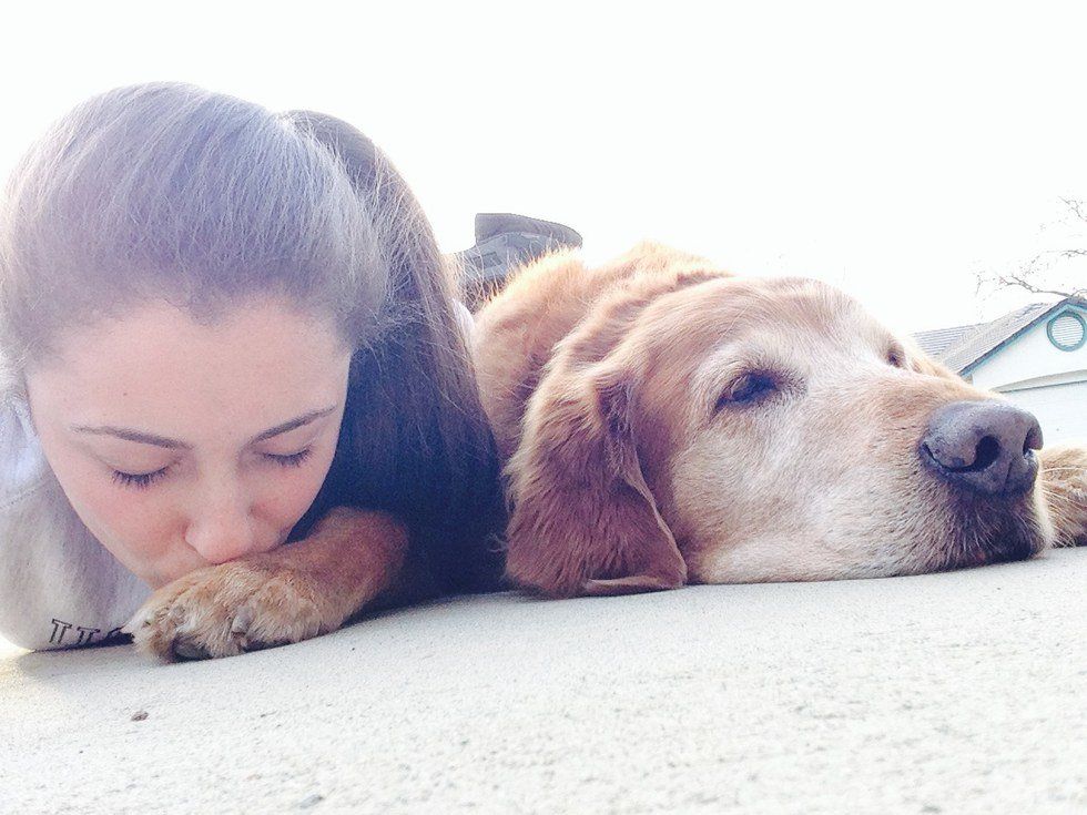 A Thank You Letter To My Childhood Dog