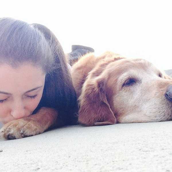A Thank You Letter To My Childhood Dog