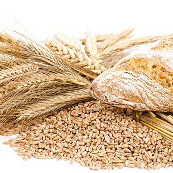 How Cutting Out Gluten Transformed My Life