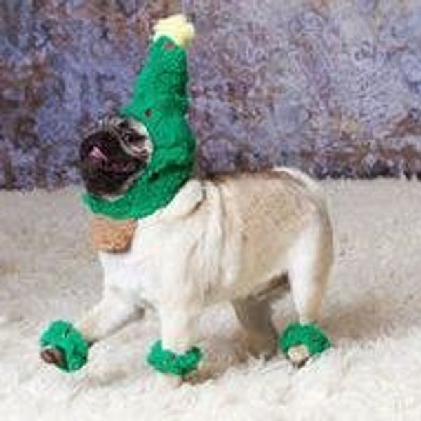 10 Reasons To Be Excited For Christmas